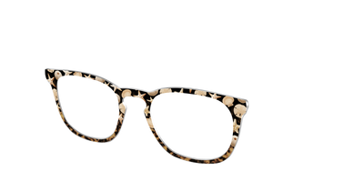 The Ocean Treasures Tortoise - Angle Top Thumbnail - Pair Eyewear