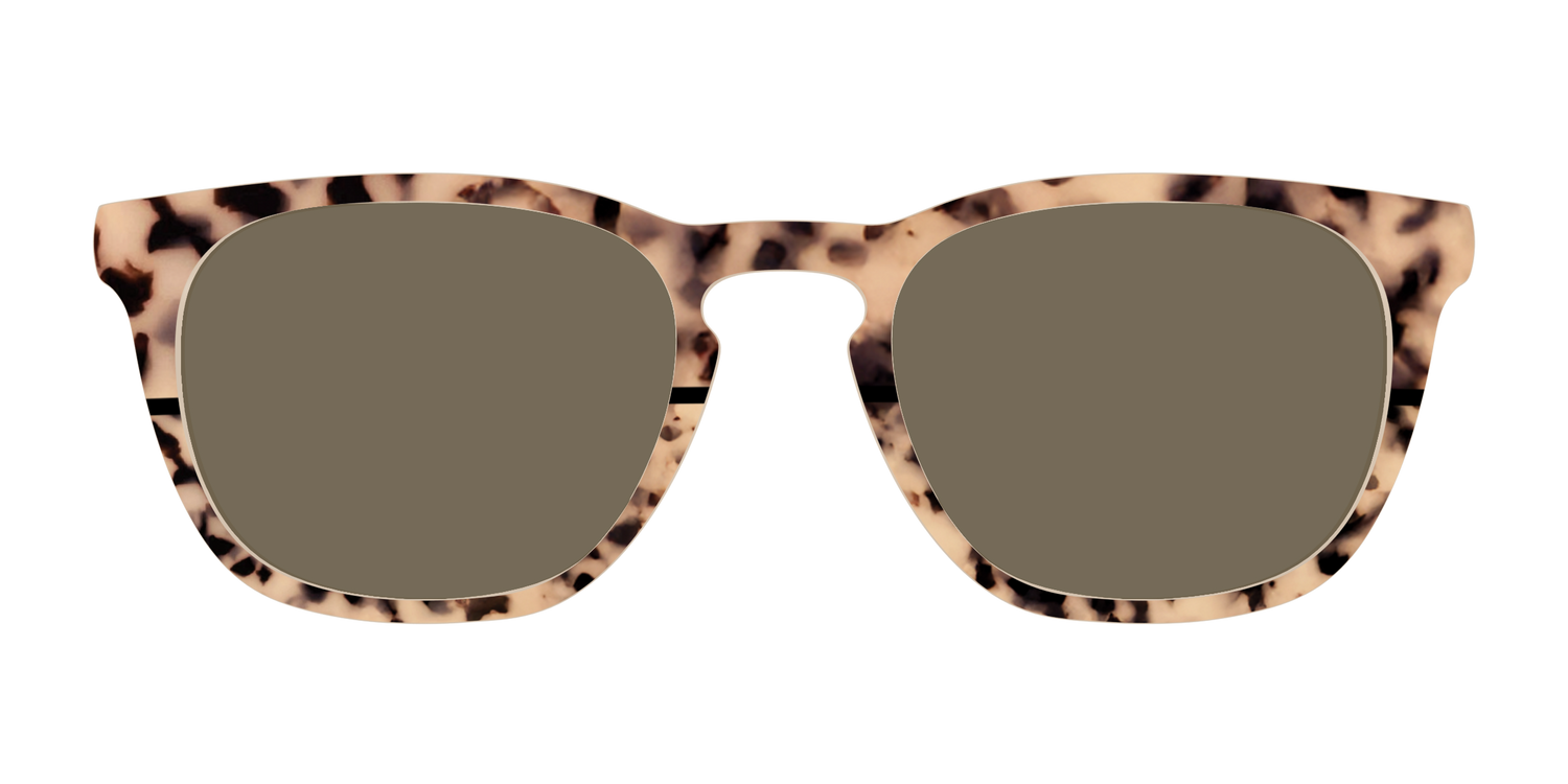 The Polarized Bisque Tortoise Split Sun Top - Front Top Image - Pair Eyewear