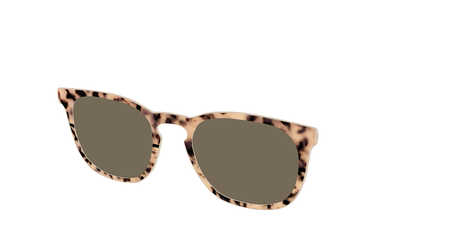 The Polarized Bisque Tortoise Split Sun Top - Angle Top Image - Pair Eyewear