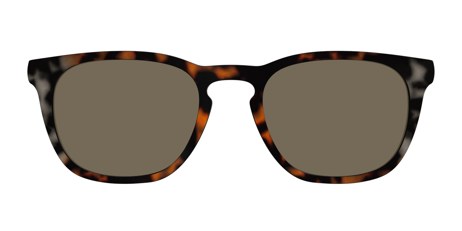 The Polarized Gray & Amber Tortoise Sun Top - Front Top Image - Pair Eyewear