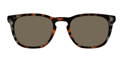 The Polarized Gray & Amber Tortoise Sun Top - Front Top Thumbnail - Pair Eyewear