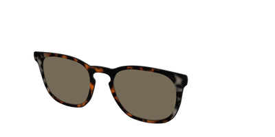 The Polarized Gray & Amber Tortoise Sun Top - Angle Top Thumbnail - Pair Eyewear