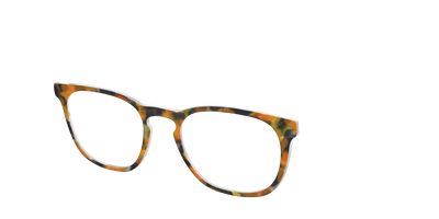 The Pumpkin Tortoise - Angle Top Thumbnail - Pair Eyewear