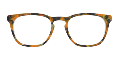 The Pumpkin Tortoise - Front Top Thumbnail - Pair Eyewear