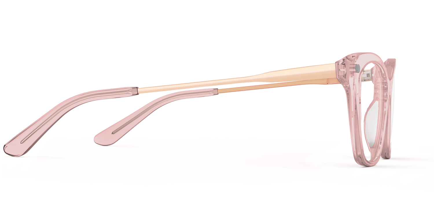 The Wanda - Pink Clear Acetate Rose Gold Metal - Carousel3 - Pair Eyewear