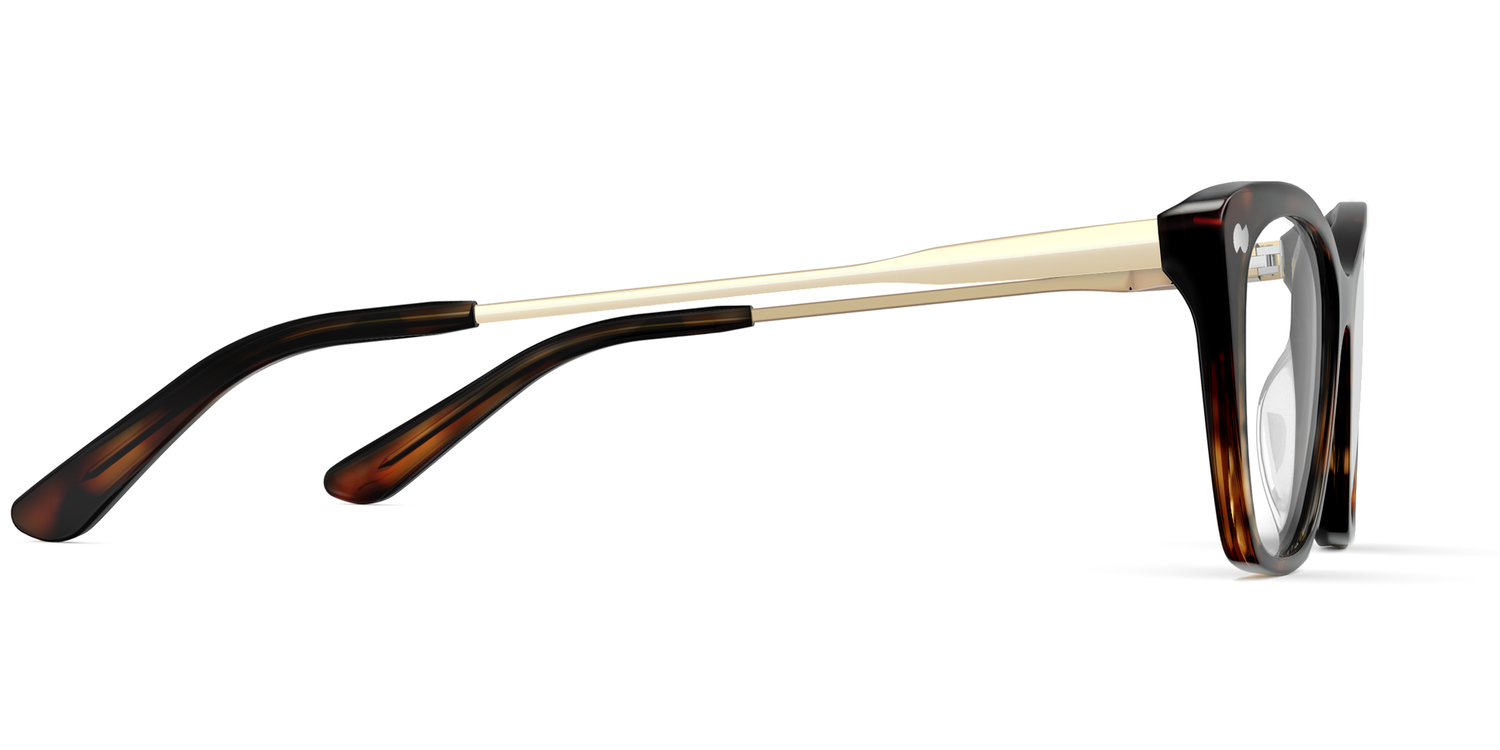 The Wanda - Tortoise Acetate Gold Metal - Carousel3 - Pair Eyewear
