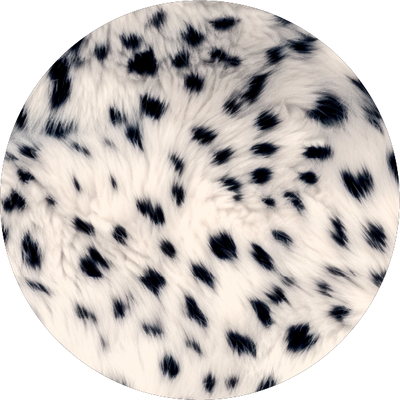 The Leopard Spots Split