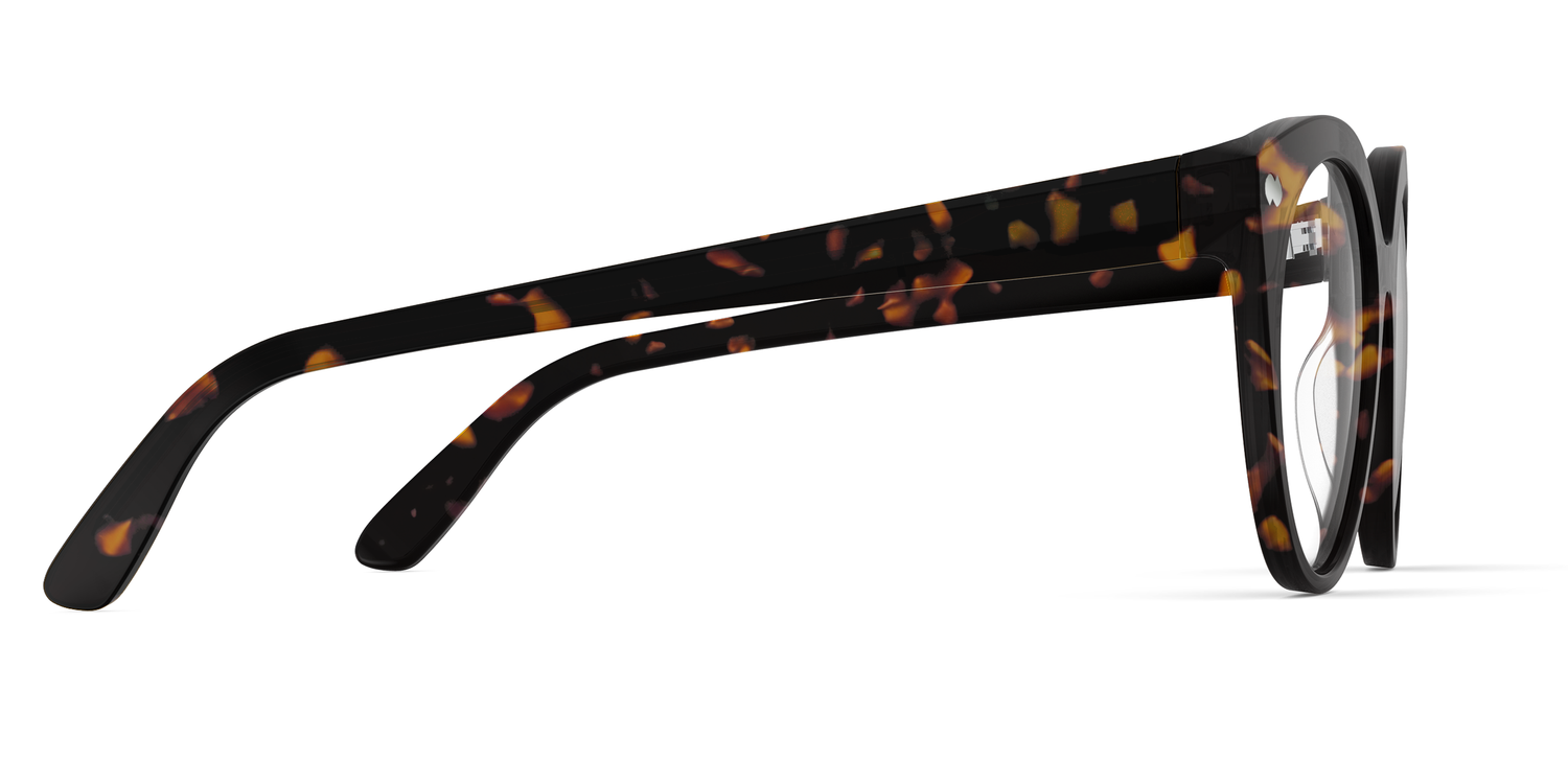 The Zuri - Tortoise - Carousel3 - Pair Eyewear