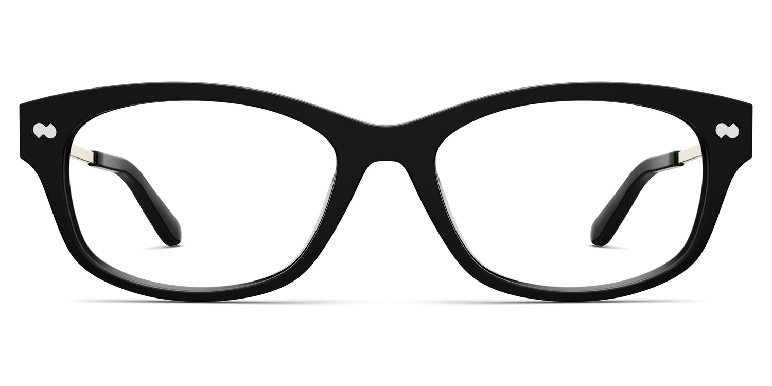 The Addison - Black Acetate Gold Metal - Carousel2 - Pair Eyewear