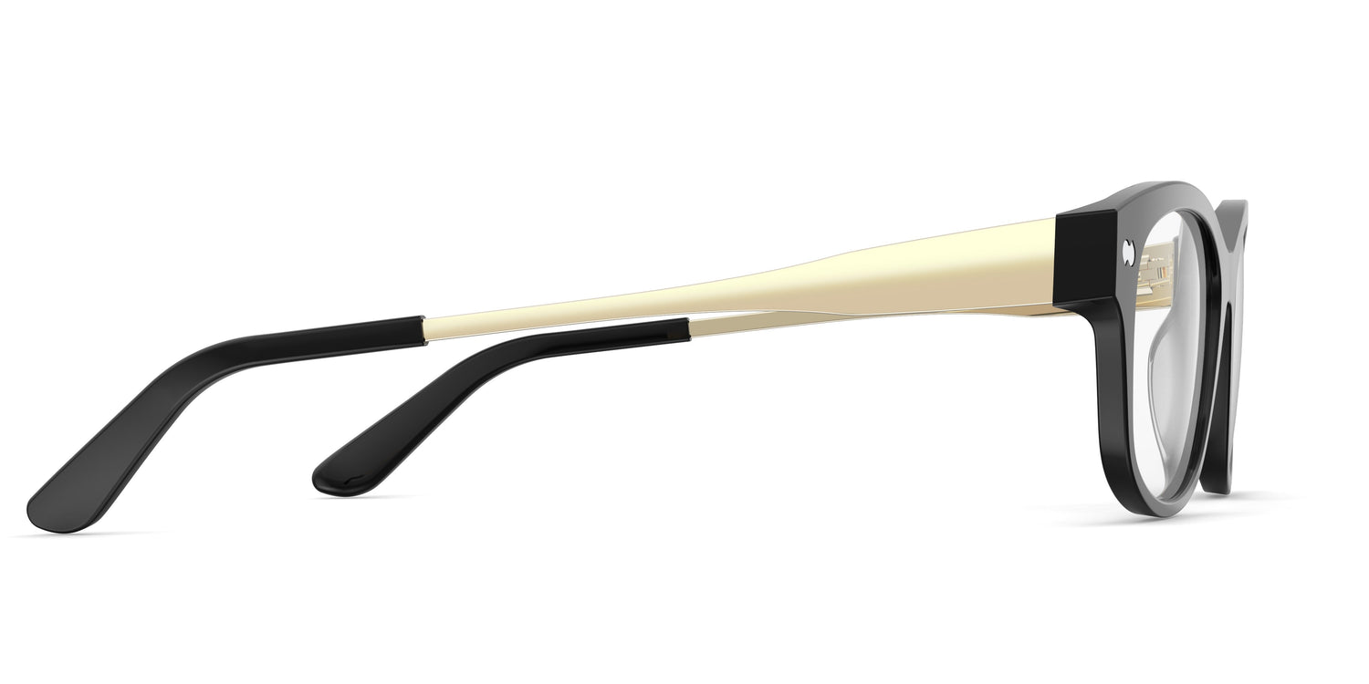 The Addison - Black Acetate Gold Metal - Carousel3 - Pair Eyewear