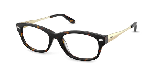 The Addison - Tortoise Acetate Gold Metal - Pair Eyewear