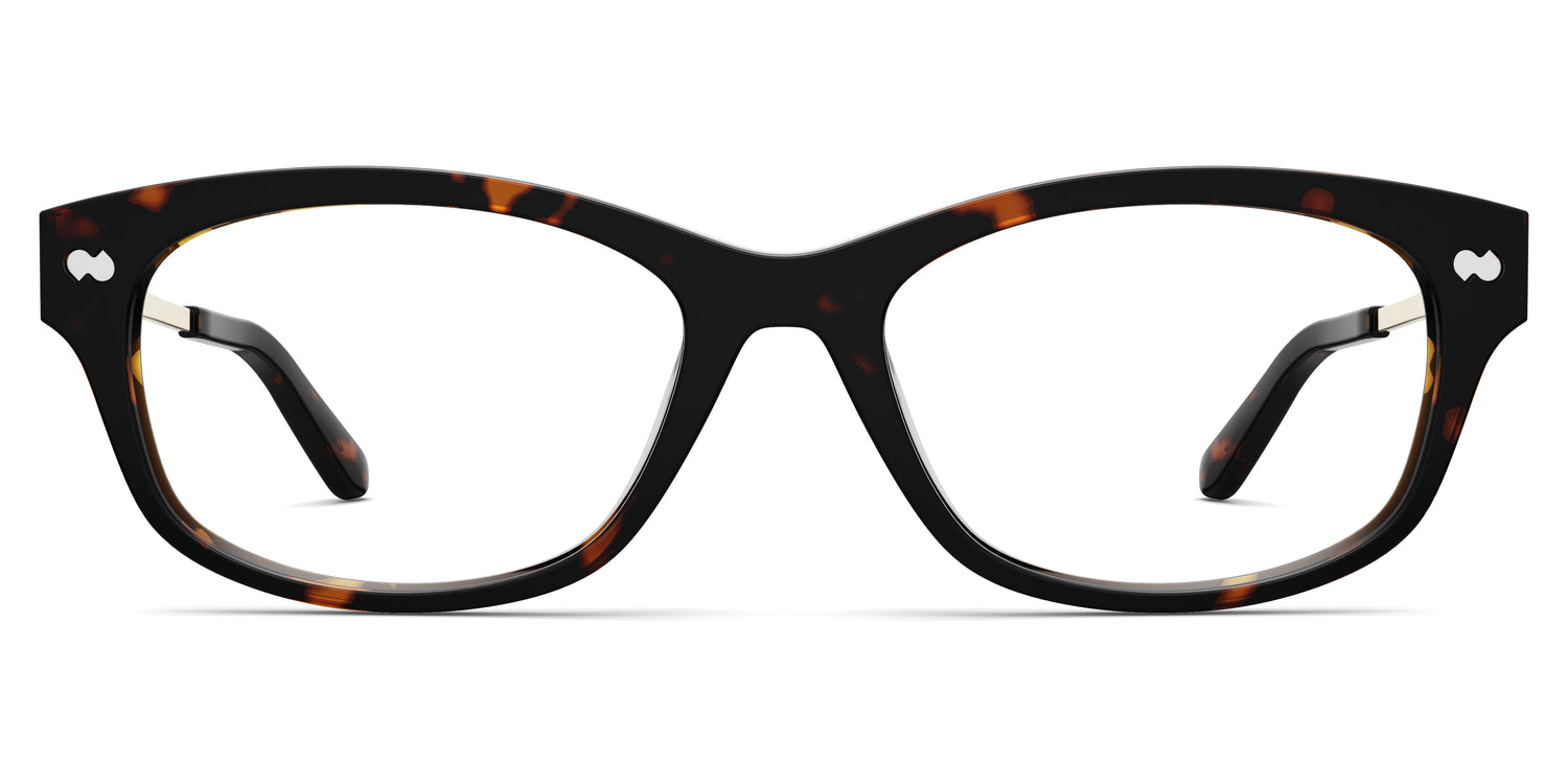 The Addison - Tortoise Acetate Gold Metal - Carousel2 - Pair Eyewear