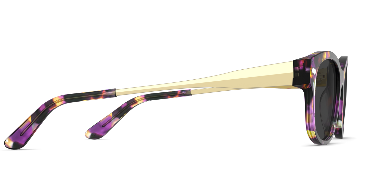 The Addison - Purple Confetti Tortoise Acetate Gold Metal Sun - Carousel5 - Pair Eyewear