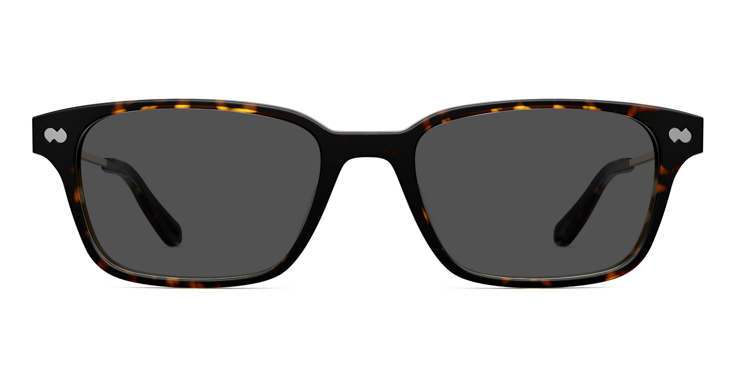 The Finley - Tortoise Acetate Gold Metal Sun - Carousel3 - Pair Eyewear