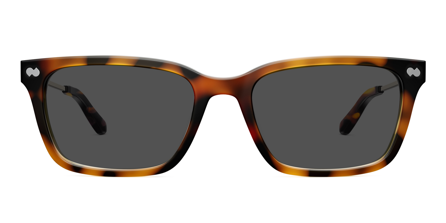 The Larkin - Tortoise Acetate Gold Metal Sun - Carousel3 - Pair Eyewear