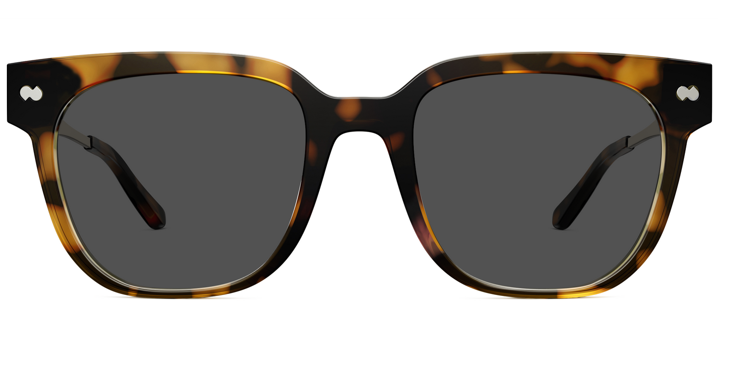 The Murphy - Tortoise Acetate Gold Metal Sun - Carousel3 - Pair Eyewear