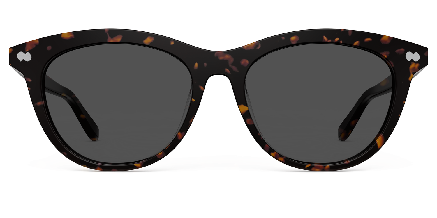 The Brook - Tortoise Sun - Carousel1 - Pair Eyewear