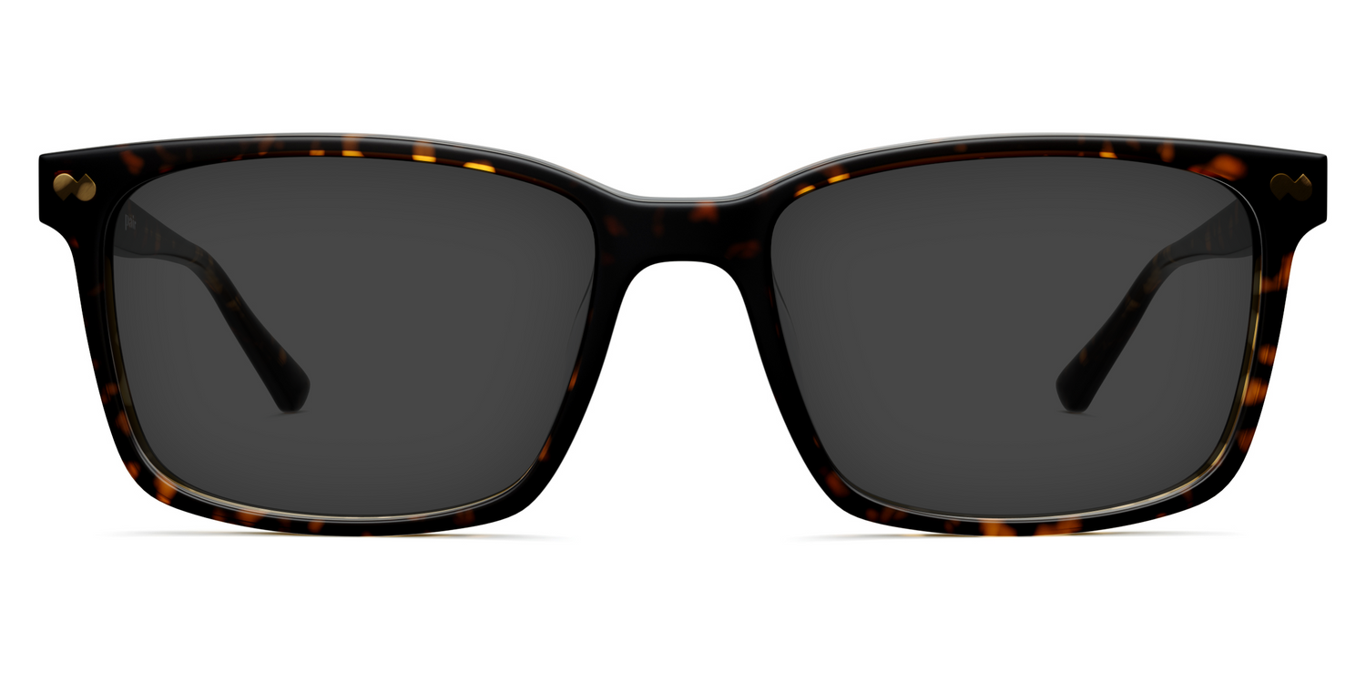 The Kirby - Tortoise Sun - Carousel1 - Pair Eyewear