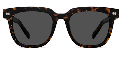 The Payton - Tortoise Sun - Thumbnail1 - Pair Eyewear