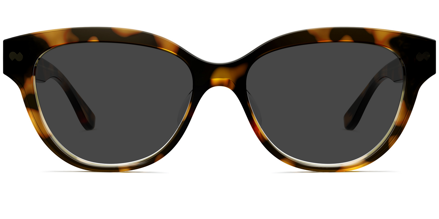 The Quinn - Tortoise Sun - Carousel1 - Pair Eyewear