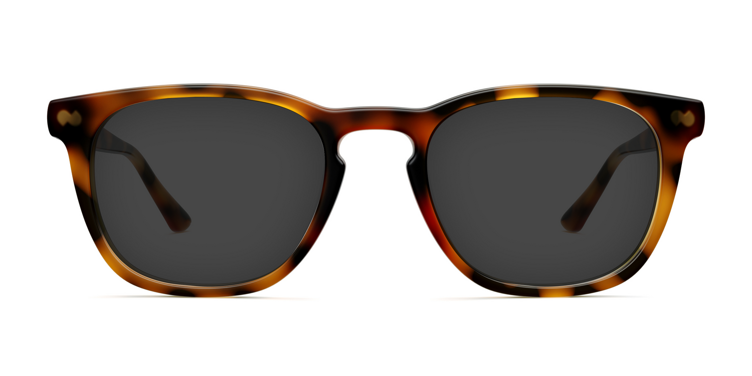 The Twain - Lensless - Carousel 1 - Pair Eyewear