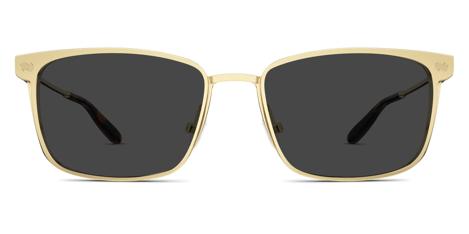 The Hadley - Gold Metal Sun - Carousel1 - Pair Eyewear