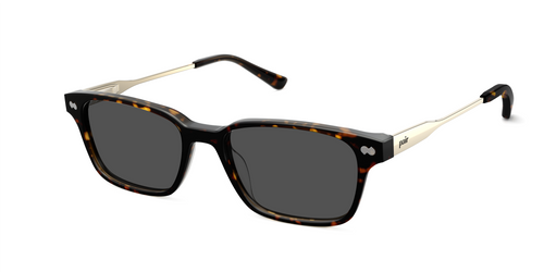 The Finley - Tortoise Acetate Gold Metal Sun - Pair Eyewear