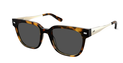 The Murphy - Tortoise Acetate Gold Metal Sun - Thumbnail1 - Pair Eyewear