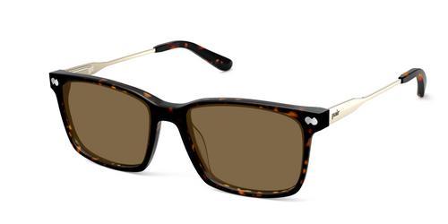 The Kirby - Tortoise Acetate Gold Metal Sun - Secondary Image - Pair Eyewear