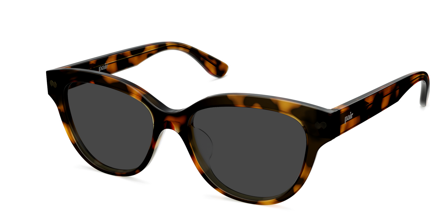 The Quinn - Tortoise Sun - Carousel3 - Pair Eyewear