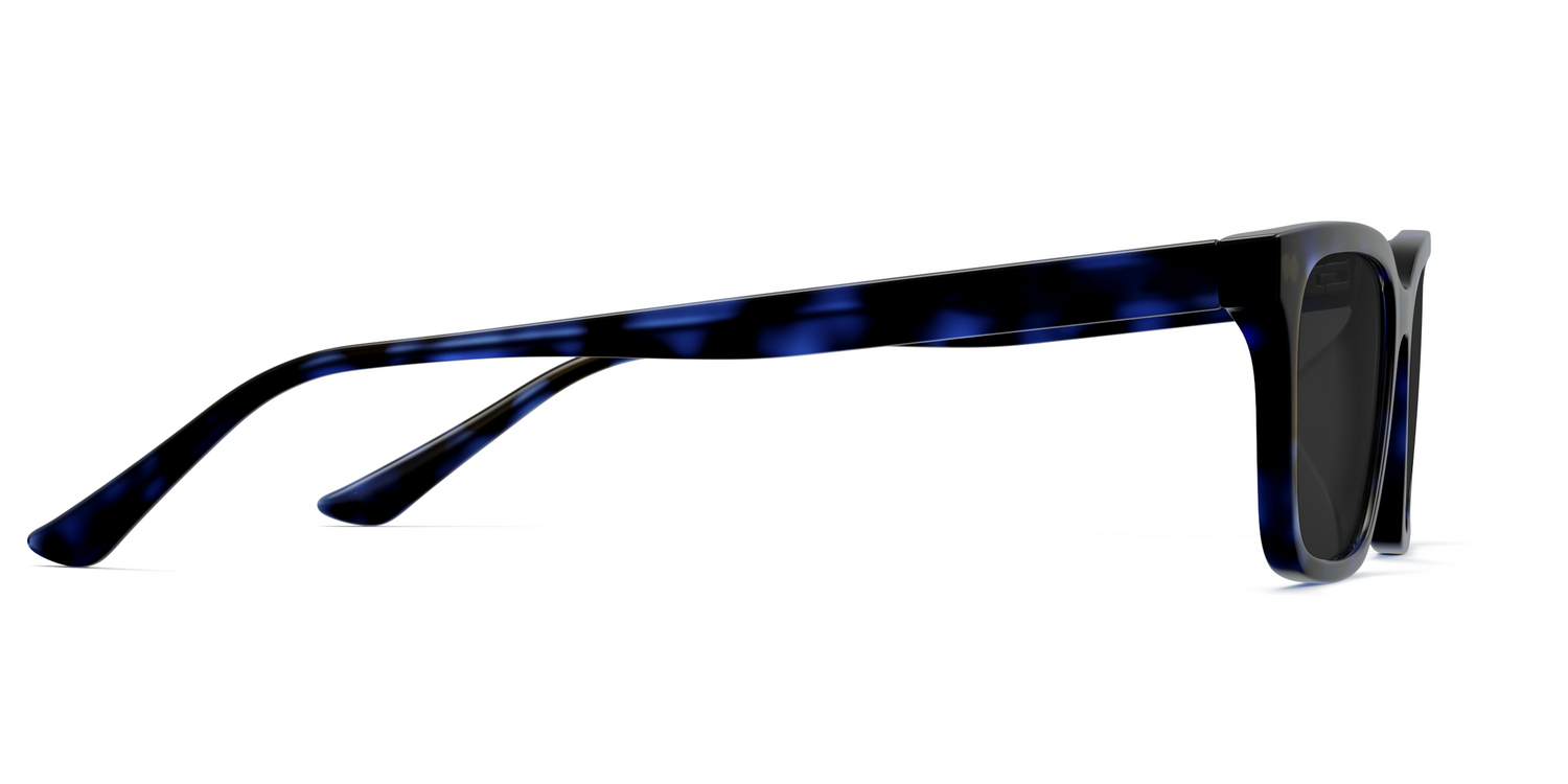 The Larkin - Blue Tortoise Sun - Carousel5 - Pair Eyewear
