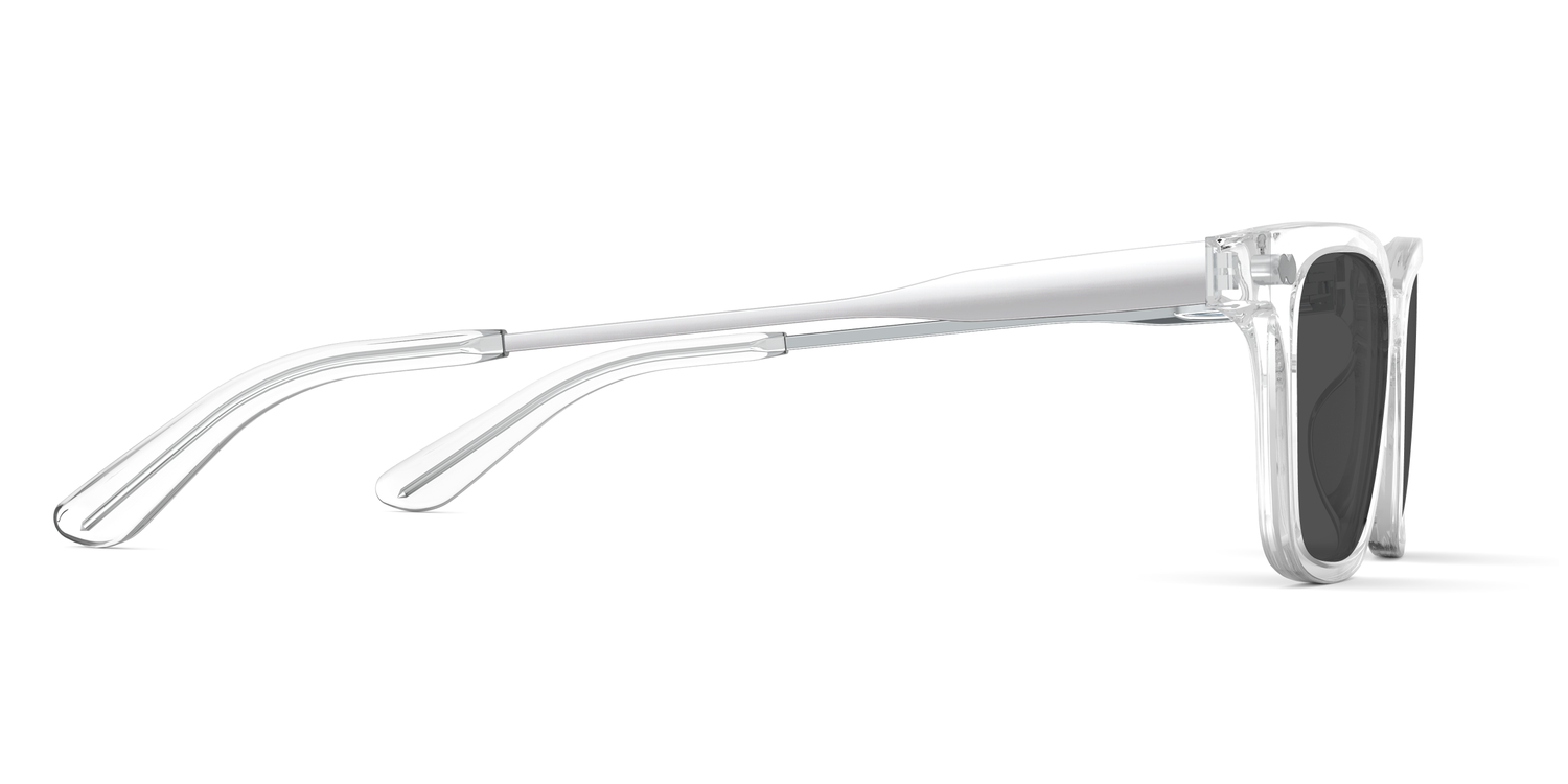 The Larkin - Crystal Clear Acetate Silver Metal Sun - Carousel5 - Pair Eyewear