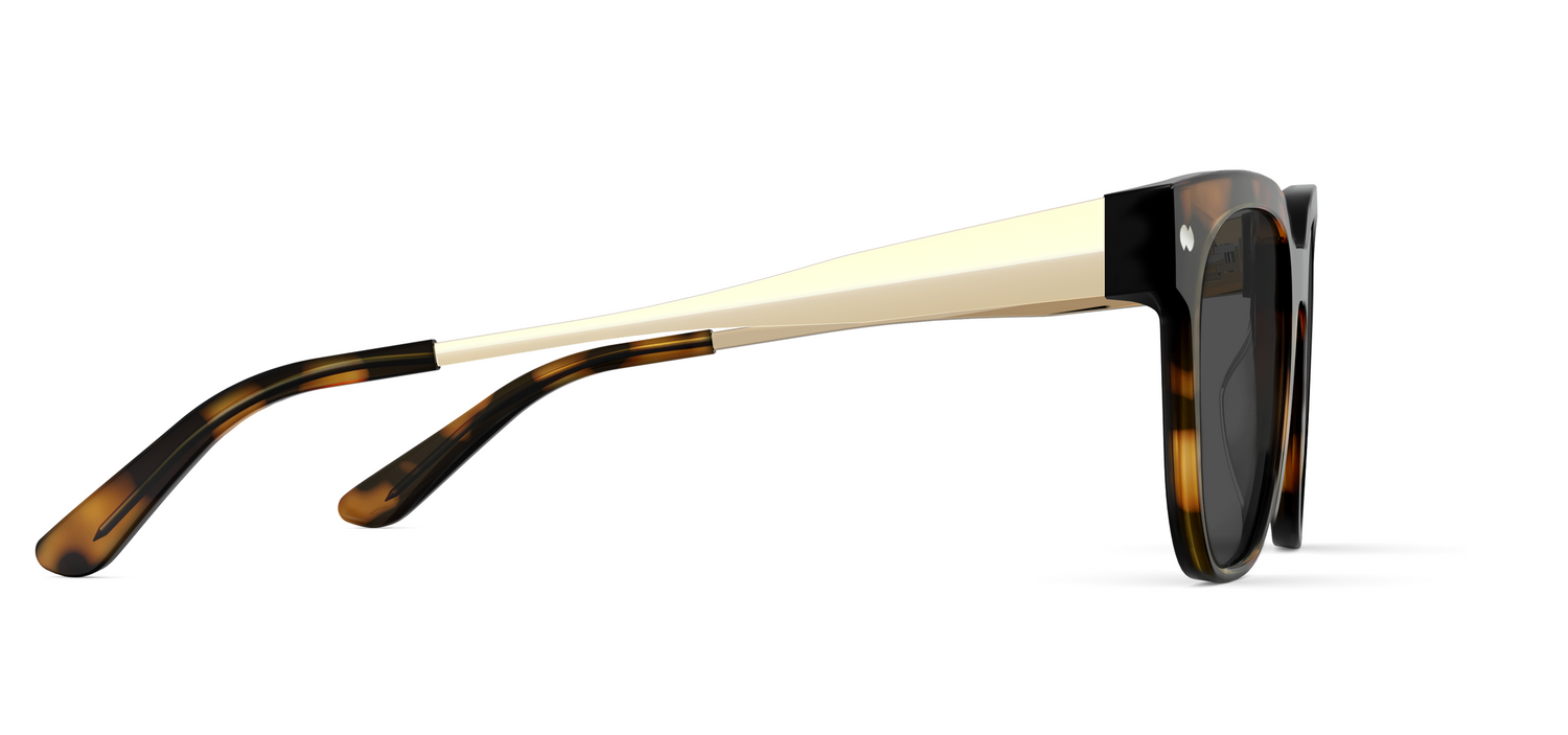 The Murphy - Tortoise Acetate Gold Metal Sun - Carousel5 - Pair Eyewear