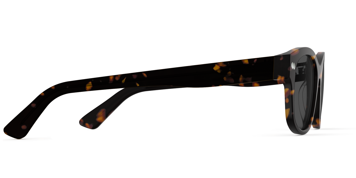 The Addison - Tortoise Sun - Carousel5 - Pair Eyewear