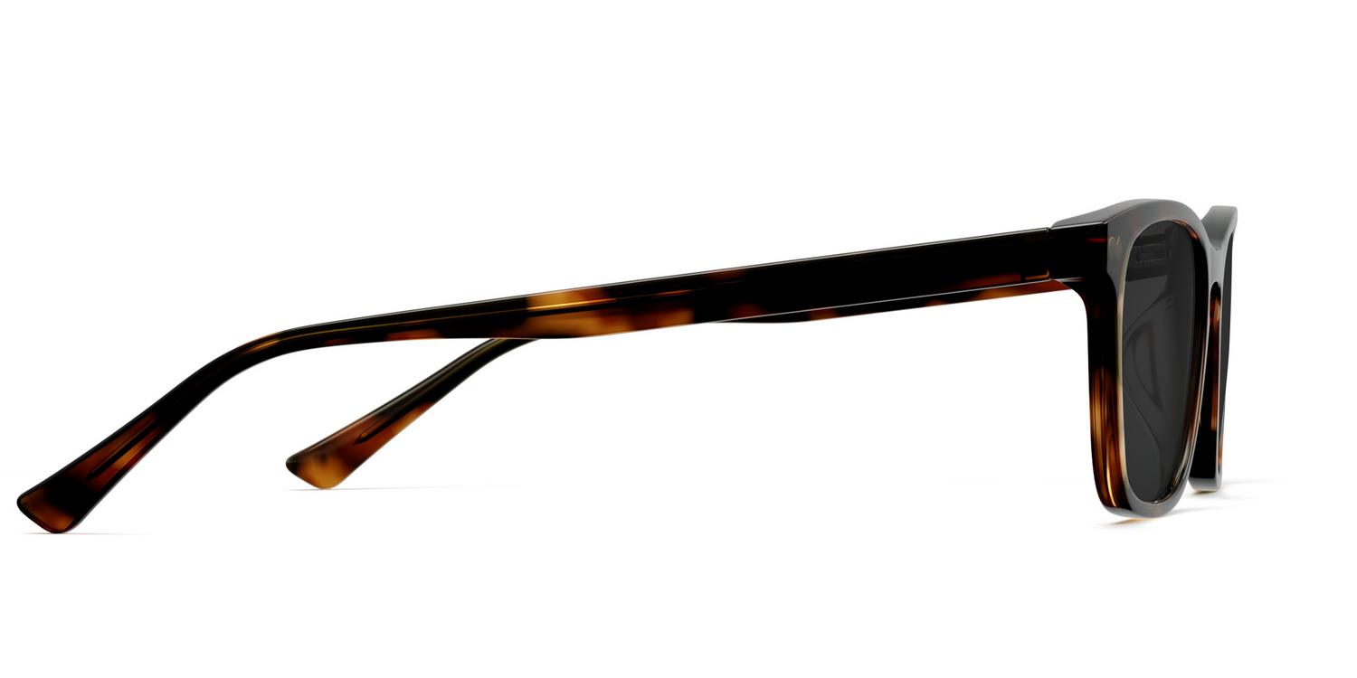 The Casper - Tortoise Sun - Carousel5 - Pair Eyewear