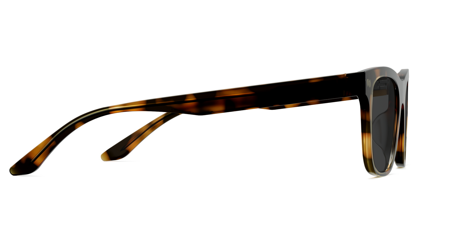 The Jessie - Tortoise Sun - Carousel5 - Pair Eyewear