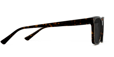 The Kirby - Tortoise Sun - Thumbnail5 - Pair Eyewear