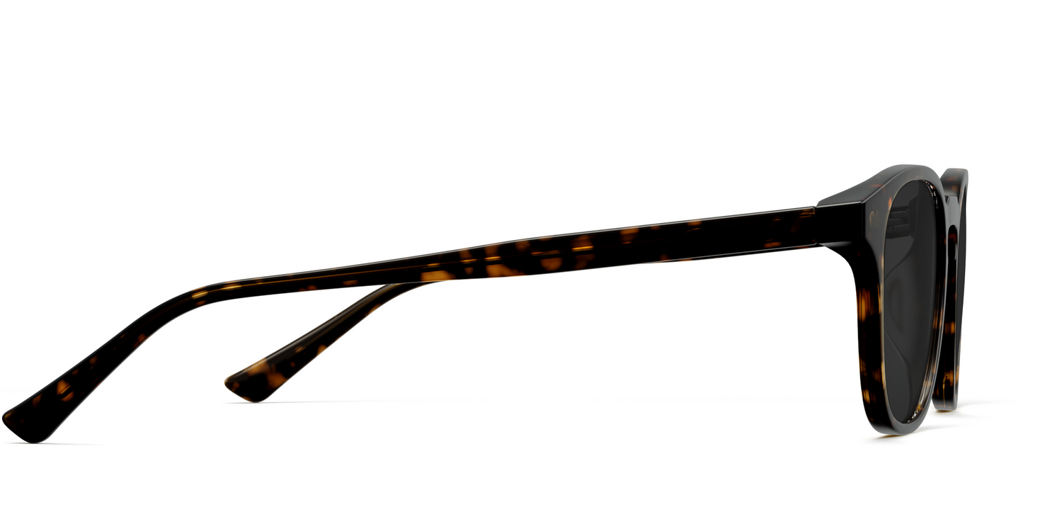 The Otis - Tortoise Sun - Carousel5 - Pair Eyewear