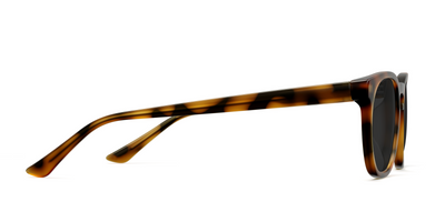 The Twain - Lensless - Thumbnail 5 - Pair Eyewear