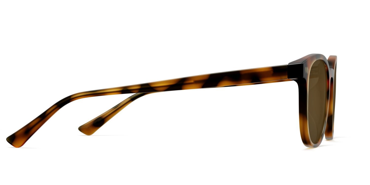 The Reese - Lensless - Carousel 6 - Pair Eyewear