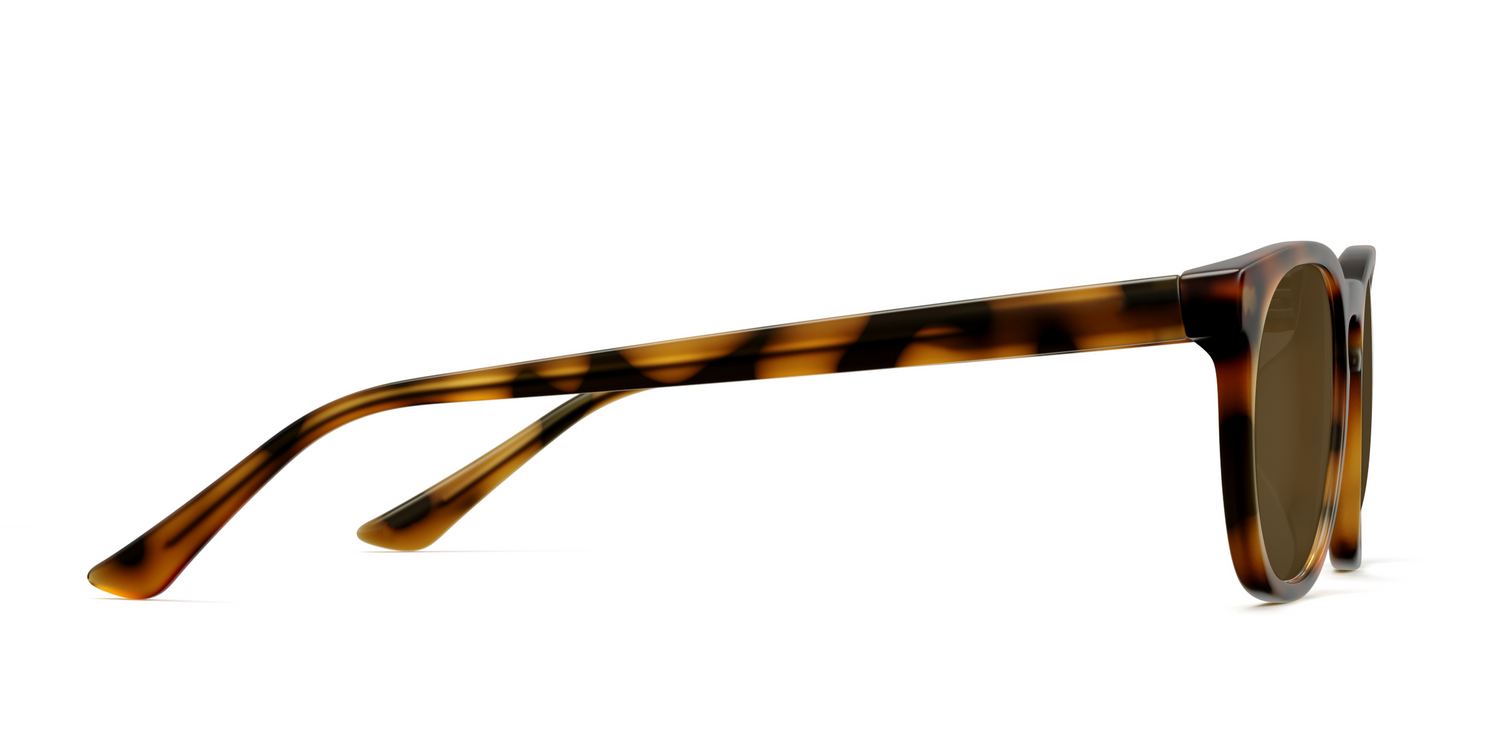 The Twain - Lensless - Carousel 6 - Pair Eyewear