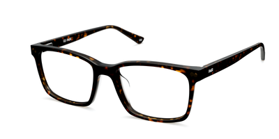 The Kirby - Tortoise - Thumbnail12 - Pair Eyewear