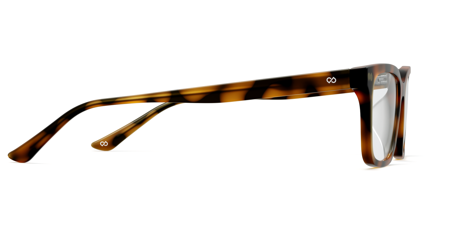 The Larkin - Tortoise - Carousel13 - Pair Eyewear