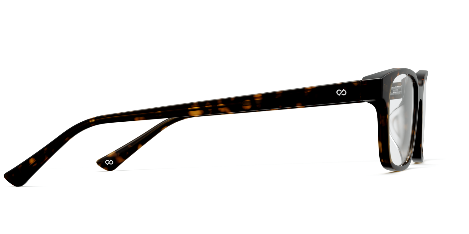 The Finley - Tortoise - Carousel13 - Pair Eyewear
