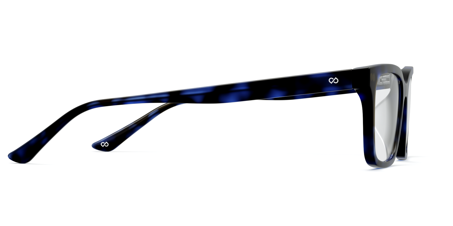 The Larkin - Blue Tortoise - Carousel13 - Pair Eyewear