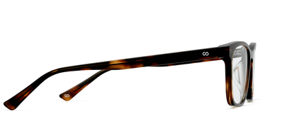 The Brook - Tortoise - Thumbnail13 - Pair Eyewear