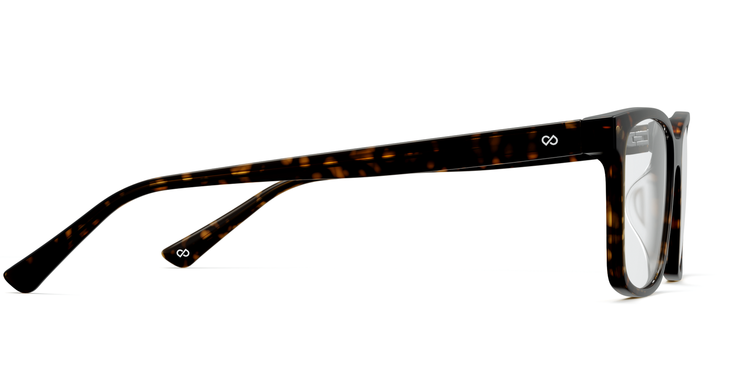 The Kirby - Tortoise - Carousel13 - Pair Eyewear