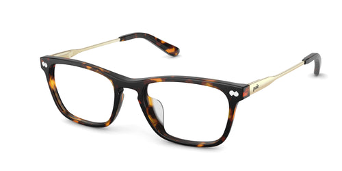The Casper - Tortoise Acetate Gold Metal - Pair Eyewear