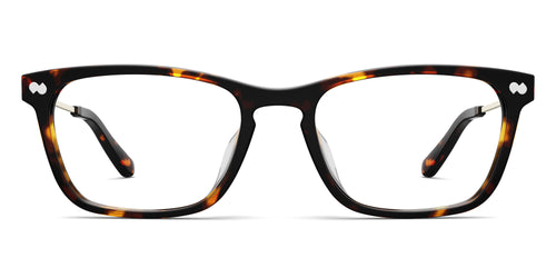 The Casper - Tortoise Acetate Gold Metal - Secondary Image - Pair Eyewear