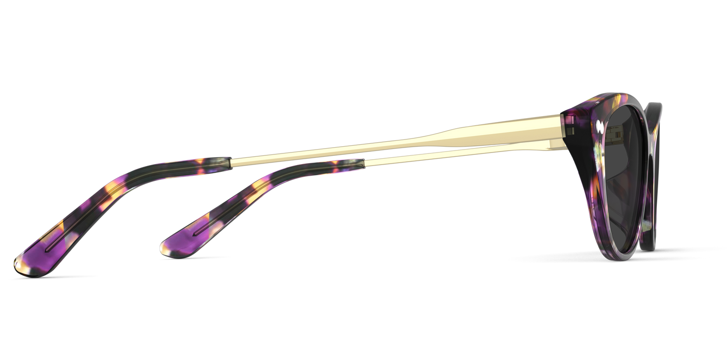 The ella - Purple Confetti Tortoise Acetate Gold Metal Sun - Carousel5 - Pair Eyewear